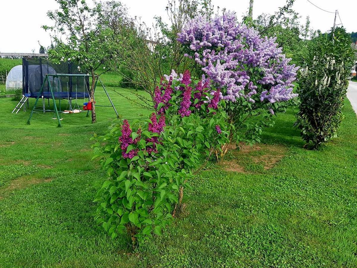 Valant Apartment Bled Zewnętrze zdjęcie